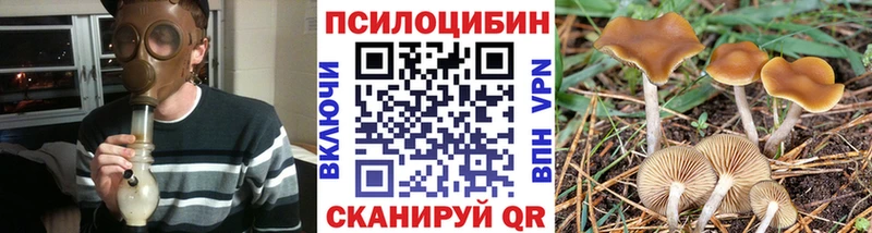 купить наркоту Невель Галлюциногенные грибы мицелий
