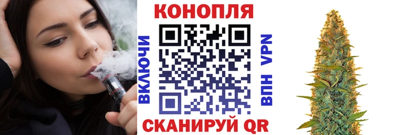 Конопля марихуана Невель